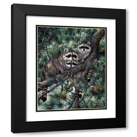 Racoons Black Modern Wood Framed Art Print with Double Matting by Tift, Jeff