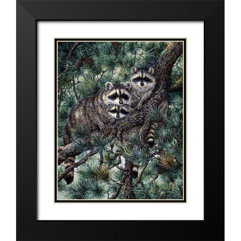 Racoons Black Modern Wood Framed Art Print with Double Matting by Tift, Jeff