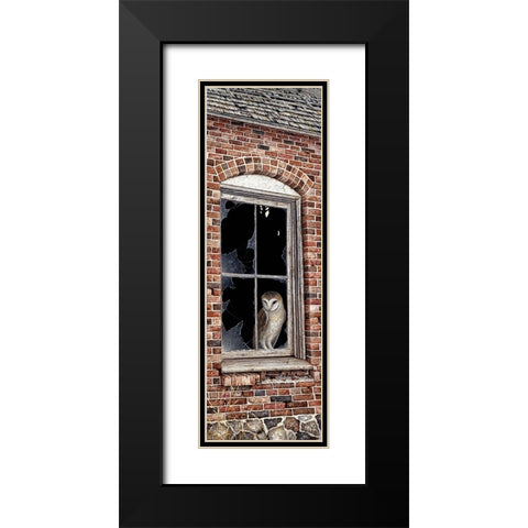 The Look Out Black Modern Wood Framed Art Print with Double Matting by Tift, Jeff