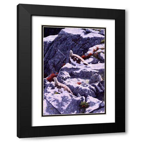 White-Tailed Ptarmigan Black Modern Wood Framed Art Print with Double Matting by Tift, Jeff