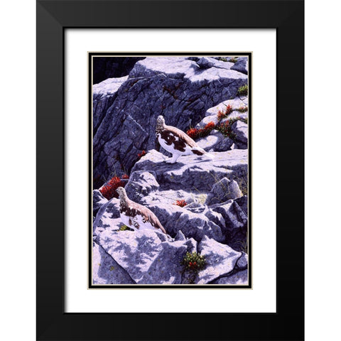 White-Tailed Ptarmigan Black Modern Wood Framed Art Print with Double Matting by Tift, Jeff