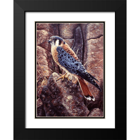 Kestral Black Modern Wood Framed Art Print with Double Matting by Tift, Jeff