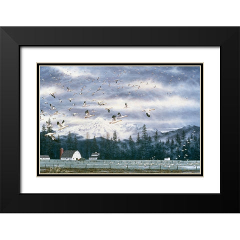 Geese Flying Over Farmland Black Modern Wood Framed Art Print with Double Matting by Tift, Jeff
