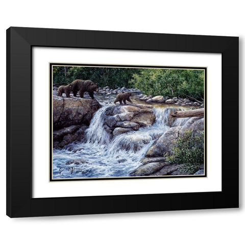 Entiat Falls-Grizzly Family Black Modern Wood Framed Art Print with Double Matting by Tift, Jeff