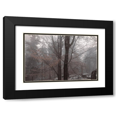 Always Together In Joy And Sorrow Black Modern Wood Framed Art Print with Double Matting by Jenny Rainbow Fine Art