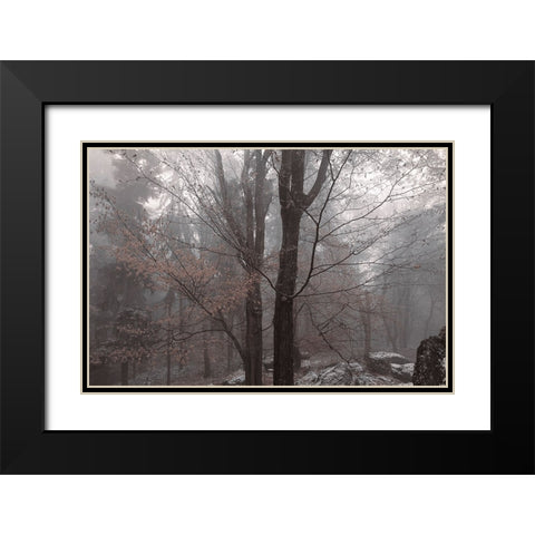 Always Together In Joy And Sorrow Black Modern Wood Framed Art Print with Double Matting by Jenny Rainbow Fine Art