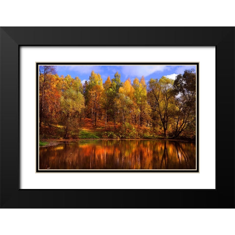 Autumn Reflections Black Modern Wood Framed Art Print with Double Matting by Jenny Rainbow Fine Art