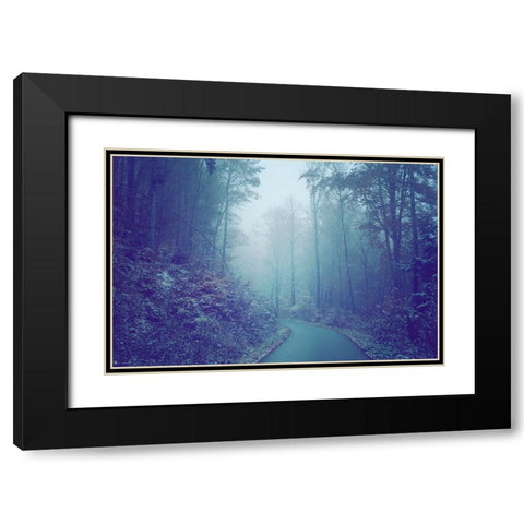 Blue Woods Misty Way Black Modern Wood Framed Art Print with Double Matting by Jenny Rainbow Fine Art