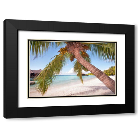 Bowed Palm Black Modern Wood Framed Art Print with Double Matting by Jenny Rainbow Fine Art