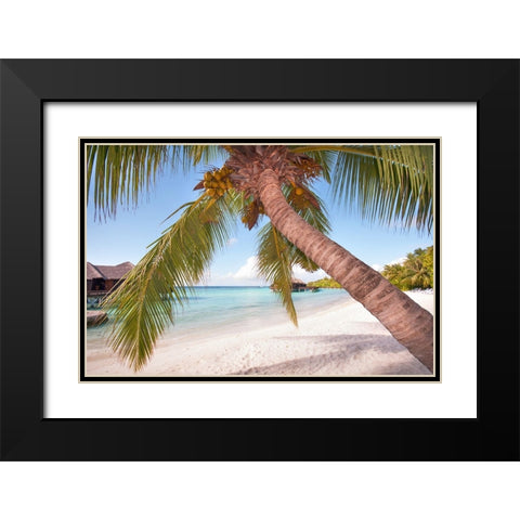 Bowed Palm Black Modern Wood Framed Art Print with Double Matting by Jenny Rainbow Fine Art