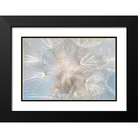 Ethereal Lightness Black Modern Wood Framed Art Print with Double Matting by Jenny Rainbow Fine Art