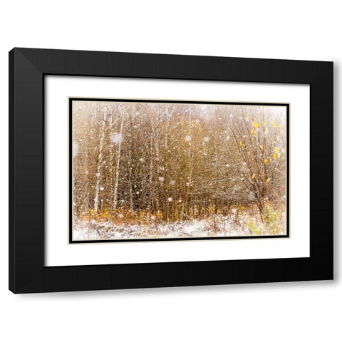First Snowflakes Black Modern Wood Framed Art Print with Double Matting by Jenny Rainbow Fine Art