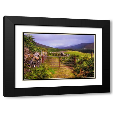 Gates on the Road at Wicklow Hills Ireland Black Modern Wood Framed Art Print with Double Matting by Jenny Rainbow Fine Art