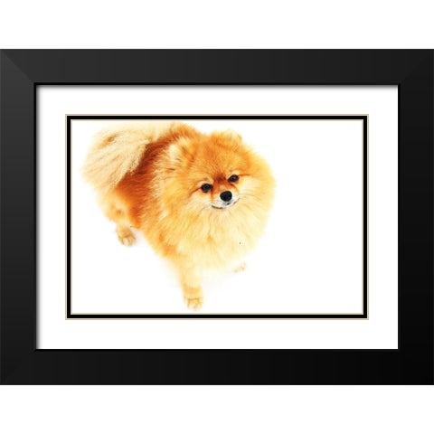 I am Here Black Modern Wood Framed Art Print with Double Matting by Jenny Rainbow Fine Art