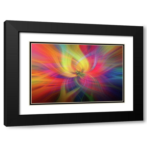 Mystery of Colors Rainbow Flower Black Modern Wood Framed Art Print with Double Matting by Jenny Rainbow Fine Art