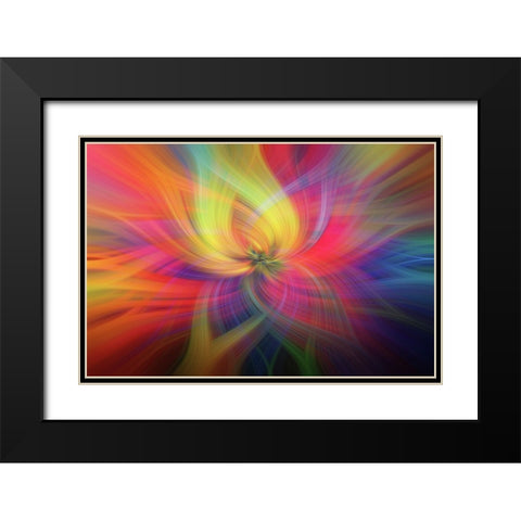 Mystery of Colors Rainbow Flower Black Modern Wood Framed Art Print with Double Matting by Jenny Rainbow Fine Art