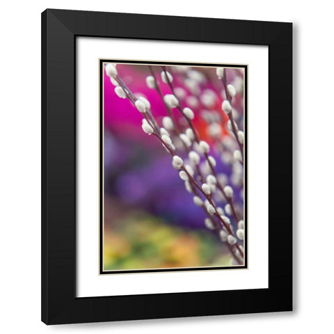 Spring Willow Branch Black Modern Wood Framed Art Print with Double Matting by Jenny Rainbow Fine Art