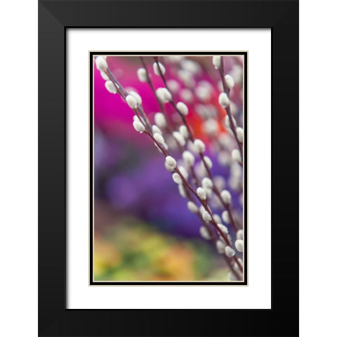 Spring Willow Branch Black Modern Wood Framed Art Print with Double Matting by Jenny Rainbow Fine Art