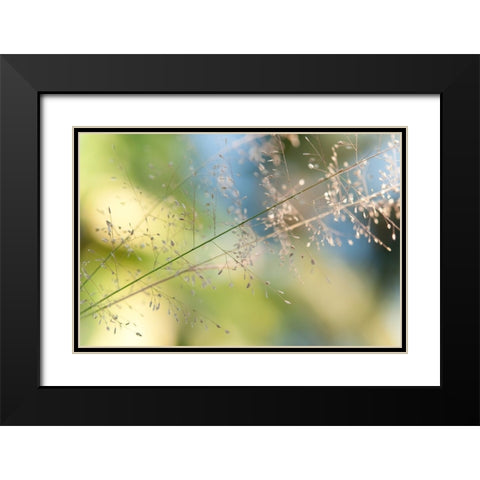 The Beauty of the Earth Black Modern Wood Framed Art Print with Double Matting by Jenny Rainbow Fine Art