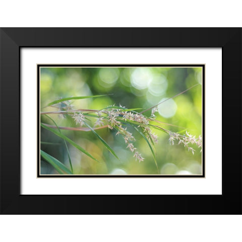 Waterfall of Lights Black Modern Wood Framed Art Print with Double Matting by Jenny Rainbow Fine Art