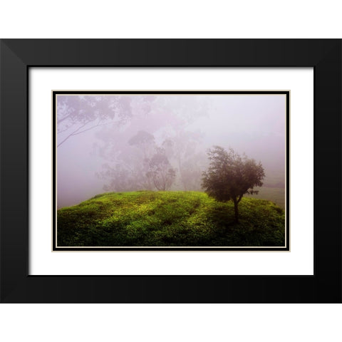 Ghost Tree in the Haunted Forest Black Modern Wood Framed Art Print with Double Matting by Jenny Rainbow Fine Art