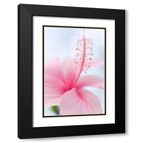 Invitation Into the Light Black Modern Wood Framed Art Print with Double Matting by Jenny Rainbow Fine Art