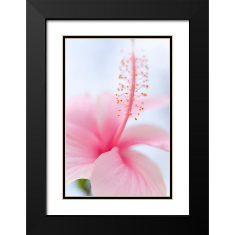 Invitation Into the Light Black Modern Wood Framed Art Print with Double Matting by Jenny Rainbow Fine Art