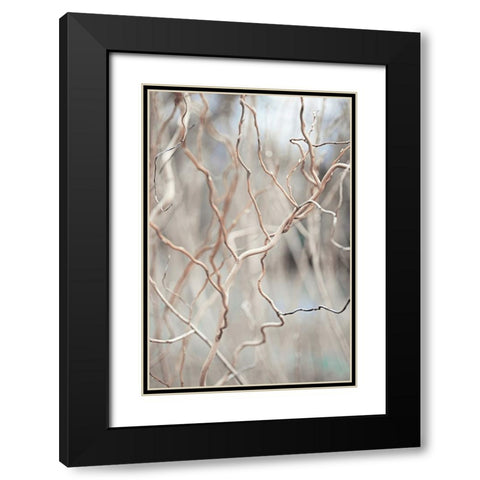 Lost World Black Modern Wood Framed Art Print with Double Matting by Jenny Rainbow Fine Art