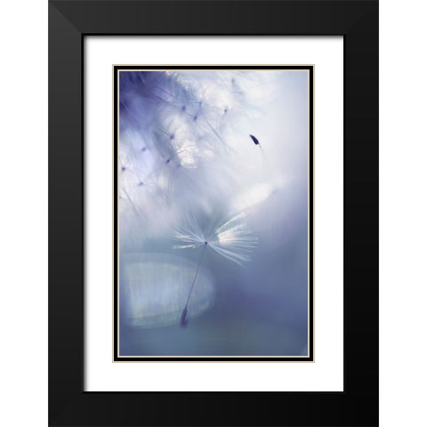 Mr Dandelion Light Flight Black Modern Wood Framed Art Print with Double Matting by Jenny Rainbow Fine Art