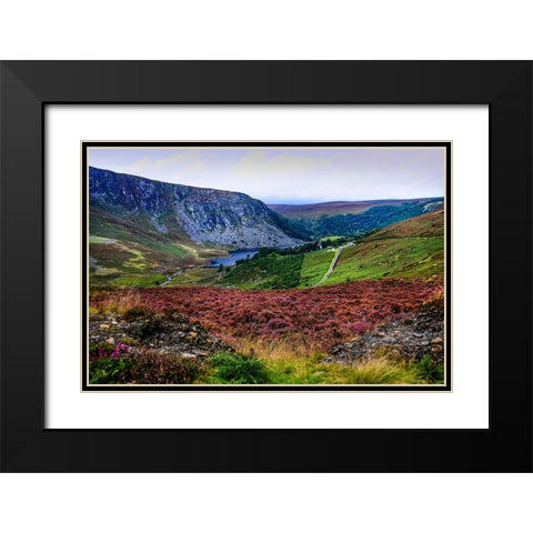 Multicolored Carpet of Wicklow Hills Black Modern Wood Framed Art Print with Double Matting by Jenny Rainbow Fine Art