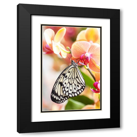 Paper Kite Tropical Butterfly 2 Black Modern Wood Framed Art Print with Double Matting by Jenny Rainbow Fine Art