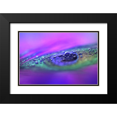 Peacock Diamonds Black Modern Wood Framed Art Print with Double Matting by Jenny Rainbow Fine Art