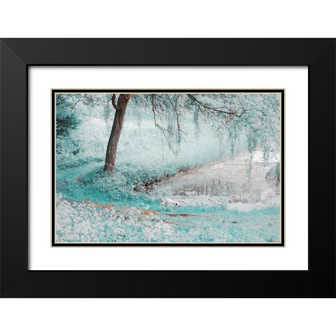 Pond Under the Shadow Willow Black Modern Wood Framed Art Print with Double Matting by Jenny Rainbow Fine Art
