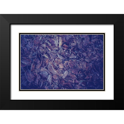 Purple Carpet of Frozen Leaves Black Modern Wood Framed Art Print with Double Matting by Jenny Rainbow Fine Art