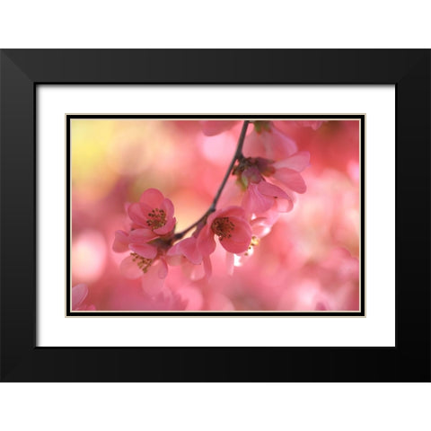 Sensual Touch of Spring Black Modern Wood Framed Art Print with Double Matting by Jenny Rainbow Fine Art