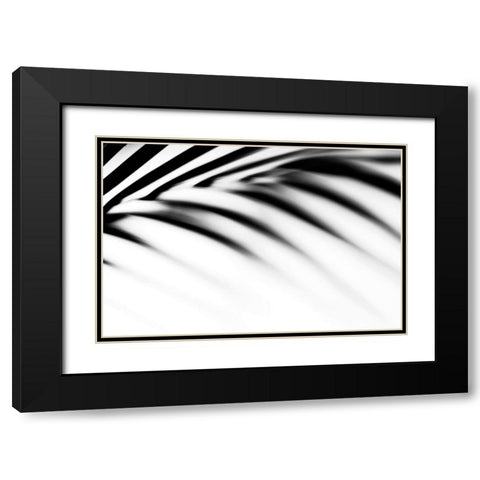 Shadow Palm Leaf Black Modern Wood Framed Art Print with Double Matting by Jenny Rainbow Fine Art