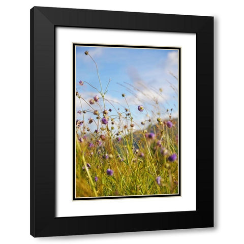 Sunny Bliss Black Modern Wood Framed Art Print with Double Matting by Jenny Rainbow Fine Art