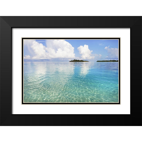 Sunny Invitation Black Modern Wood Framed Art Print with Double Matting by Jenny Rainbow Fine Art