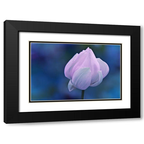 Tender Morning with Lotus Black Modern Wood Framed Art Print with Double Matting by Jenny Rainbow Fine Art