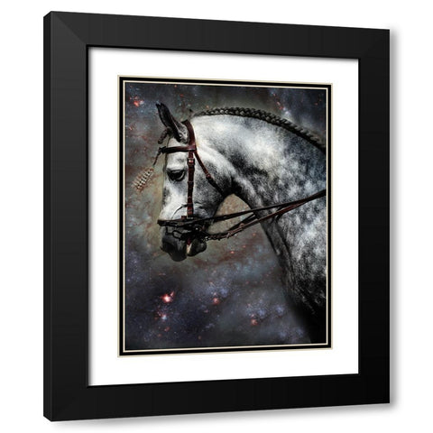 The Horse Among the Stars Black Modern Wood Framed Art Print with Double Matting by Jenny Rainbow Fine Art