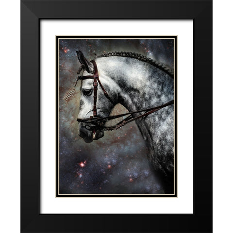 The Horse Among the Stars Black Modern Wood Framed Art Print with Double Matting by Jenny Rainbow Fine Art