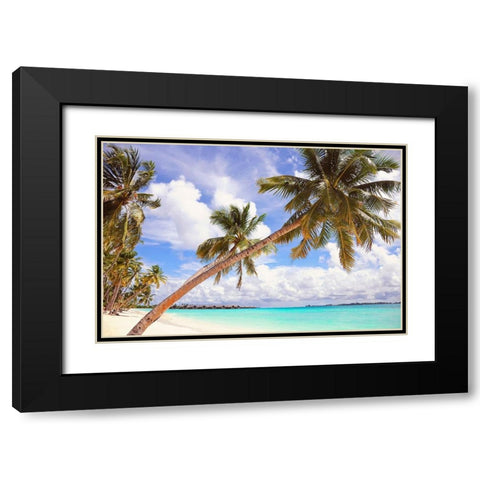 Whispering Palms Black Modern Wood Framed Art Print with Double Matting by Jenny Rainbow Fine Art