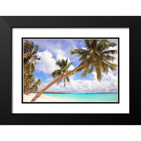 Whispering Palms Black Modern Wood Framed Art Print with Double Matting by Jenny Rainbow Fine Art