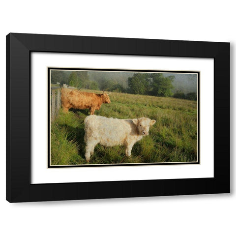 Essential Rural Life Black Modern Wood Framed Art Print with Double Matting by Jenny Rainbow Fine Art