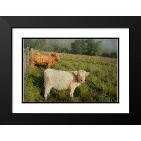 Essential Rural Life Black Modern Wood Framed Art Print with Double Matting by Jenny Rainbow Fine Art