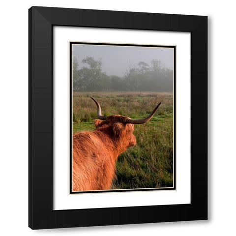 Highland Cow Black Modern Wood Framed Art Print with Double Matting by Jenny Rainbow Fine Art