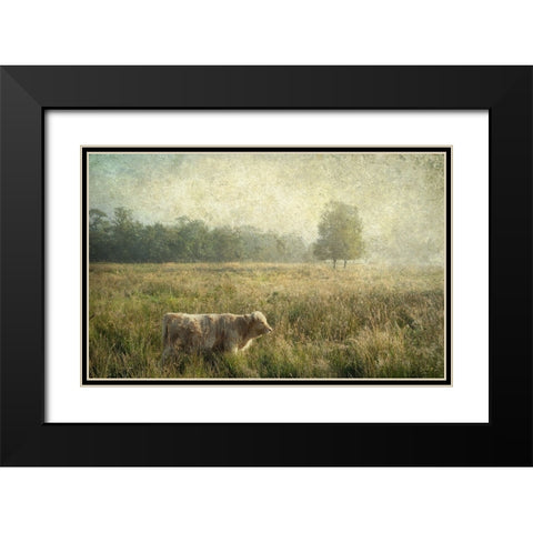 Little Highlander Black Modern Wood Framed Art Print with Double Matting by Jenny Rainbow Fine Art