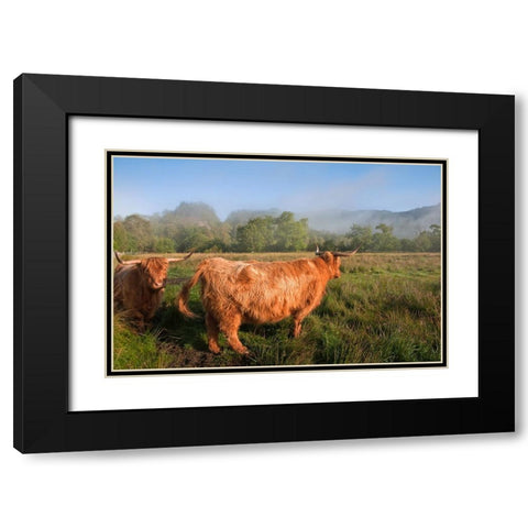 Rural Idyll Black Modern Wood Framed Art Print with Double Matting by Jenny Rainbow Fine Art