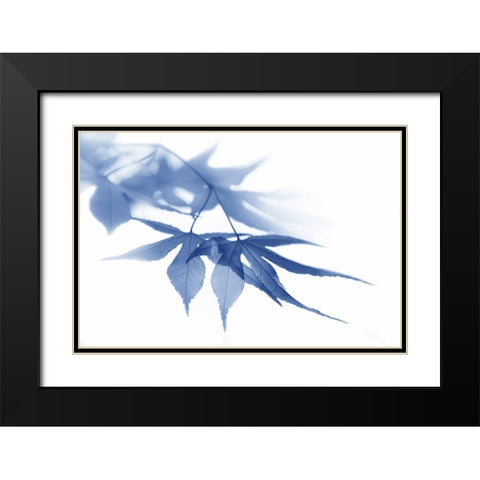 Blue Leaves 1 Black Modern Wood Framed Art Print with Double Matting by Schell, Jennie Marie