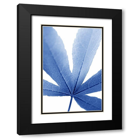 Blue Leaves 2 Black Modern Wood Framed Art Print with Double Matting by Schell, Jennie Marie